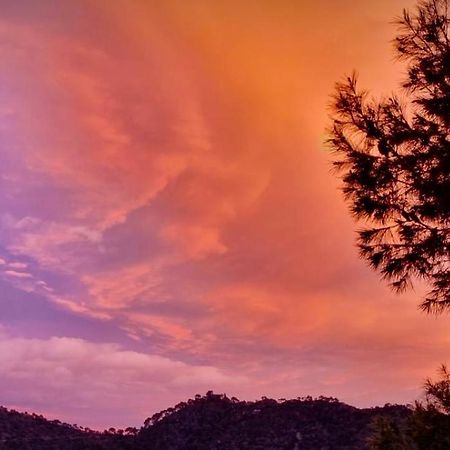 Apartamento En La Montana, Serra エクステリア 写真