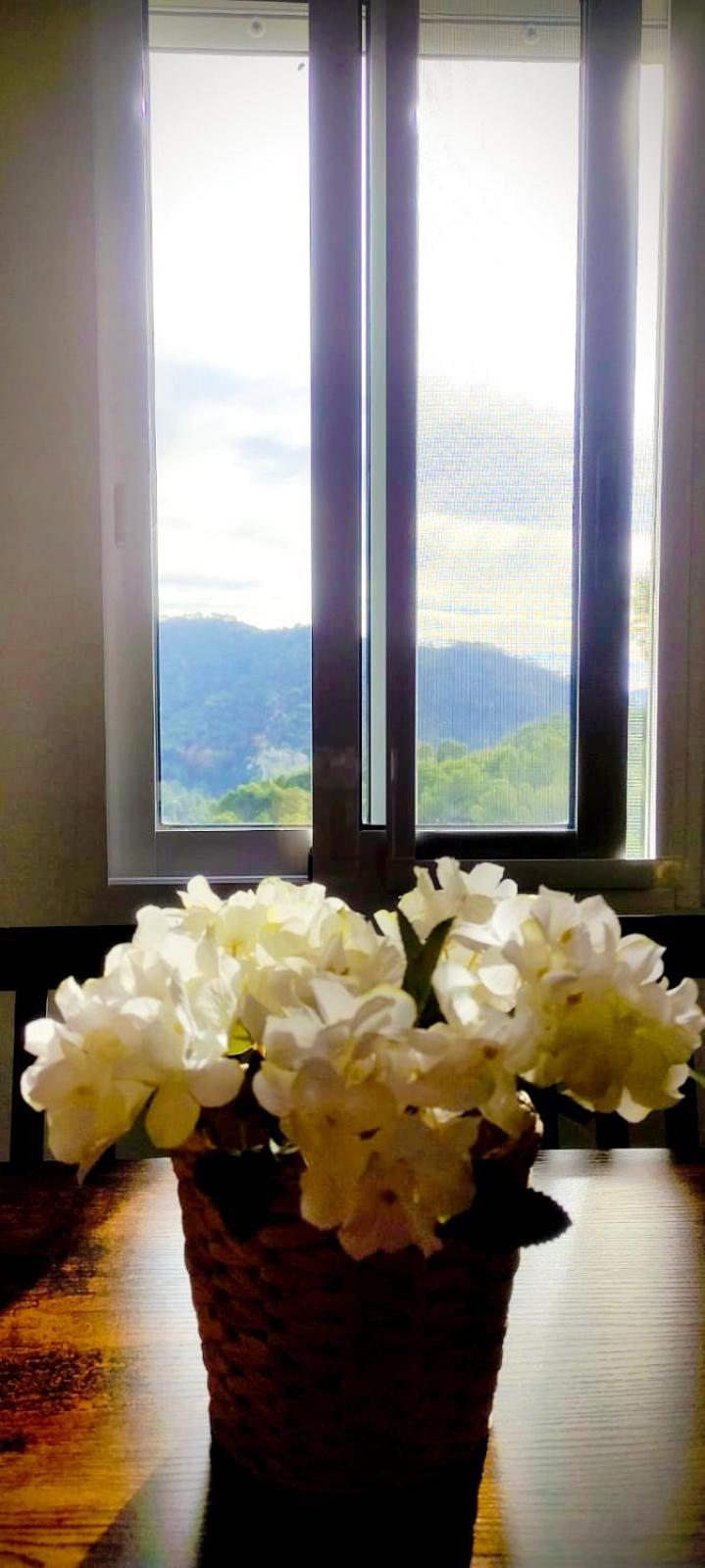 Apartamento En La Montana, Serra エクステリア 写真